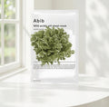 Abib – Mild acidic ph sheet mask- (Jericho Rose Fit) – 30 ml